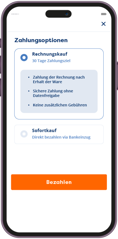 Checkout Rechnungskauf B2B